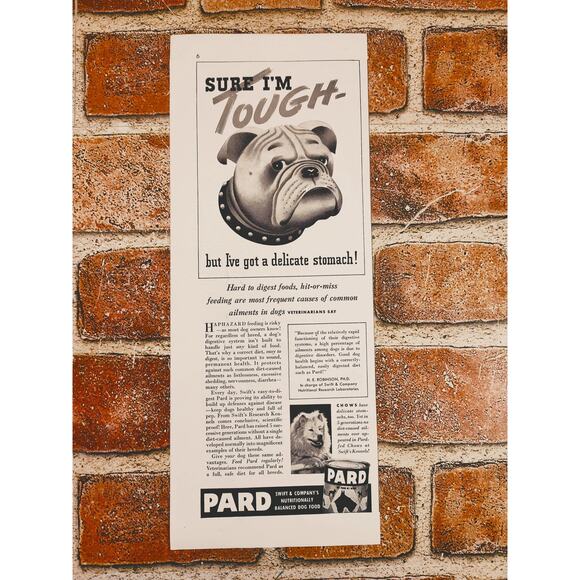 1941 Bulldog Tough but Delicate Stomach Pard Dog‎ Food Vintage Print Ad - Picture 9 of 9